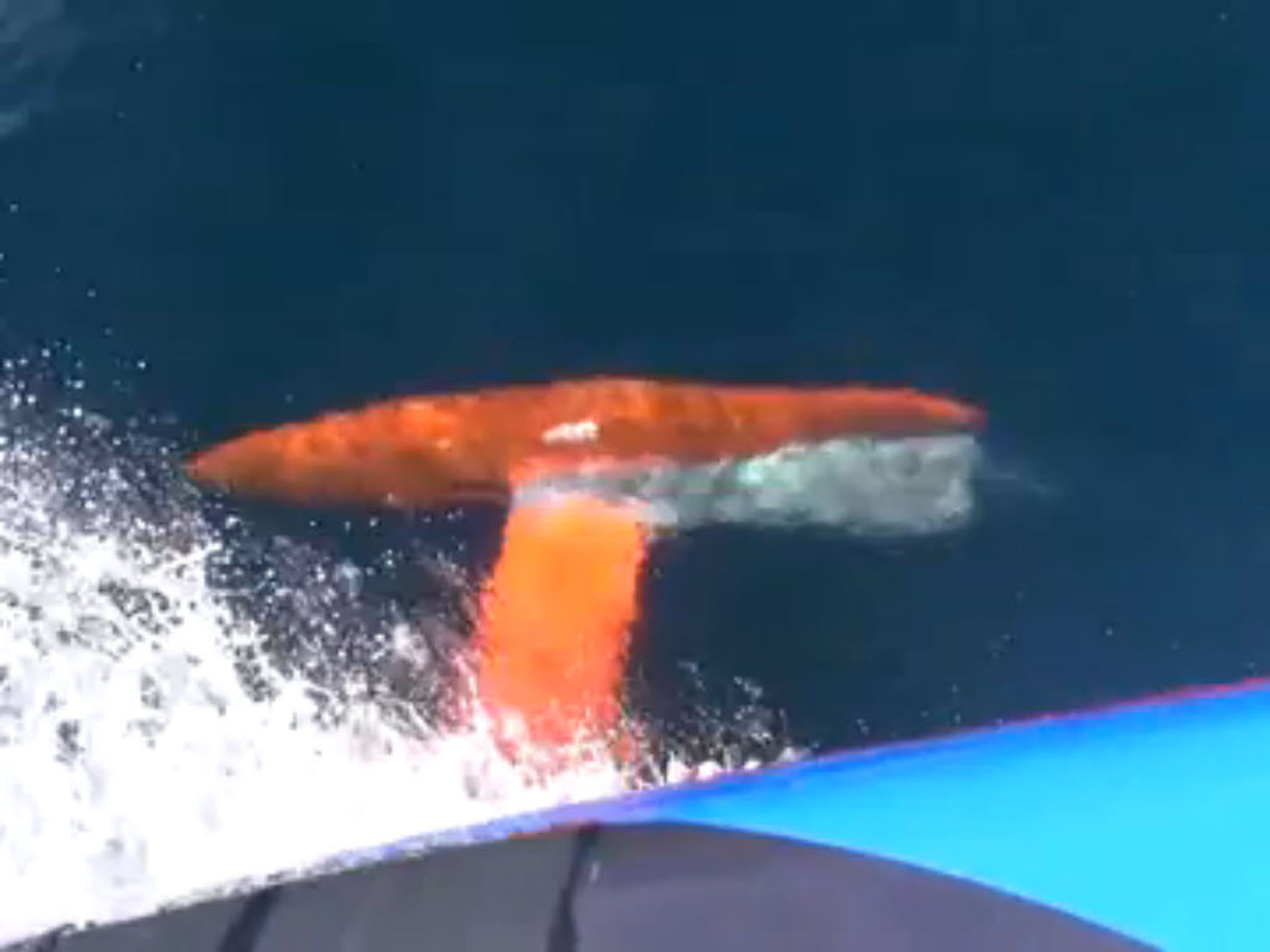 Vendee Globe - Day 23 Highlights
